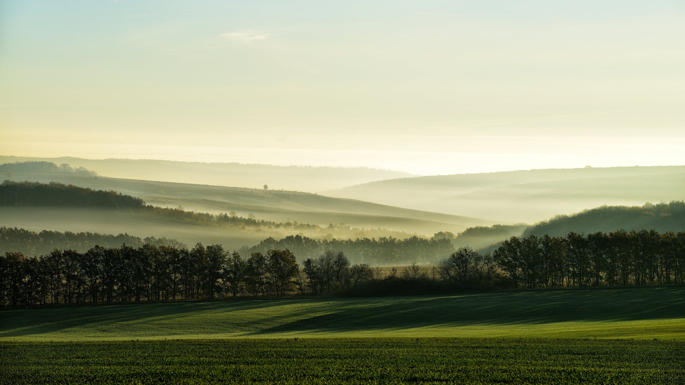Sostenibilità Swisse