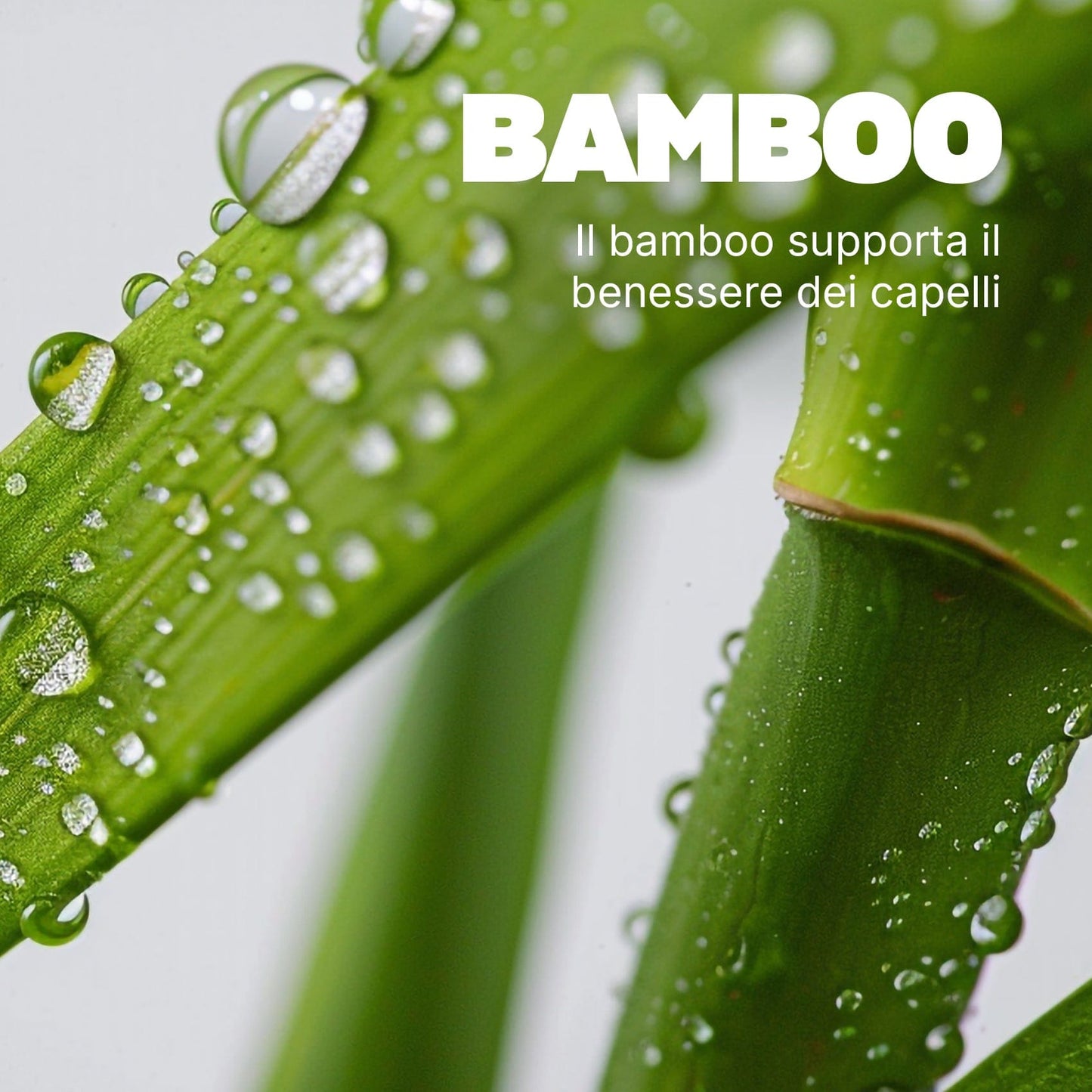 Swisse Beauty Capelli Sublimi