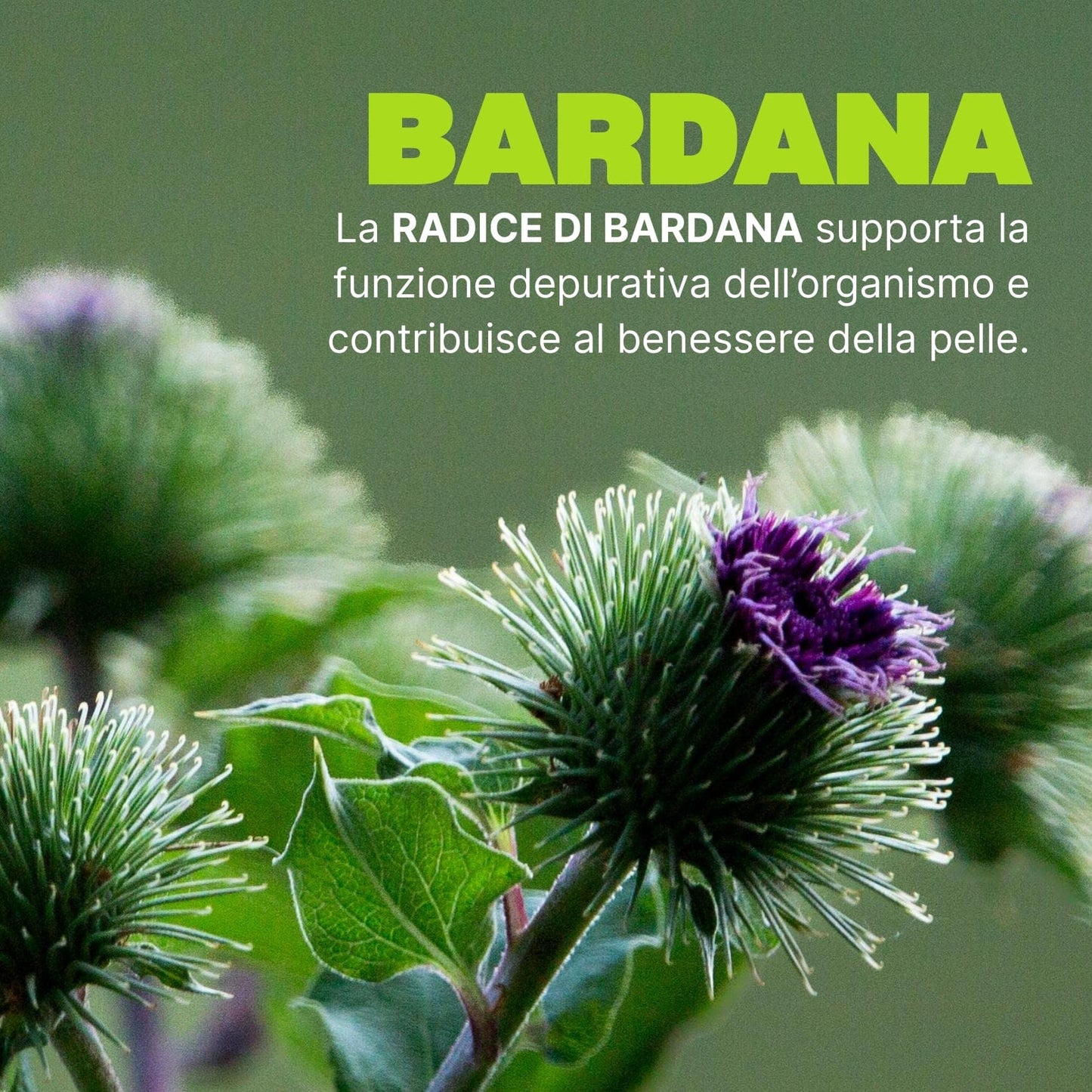 Swisse Ultiboost Depure