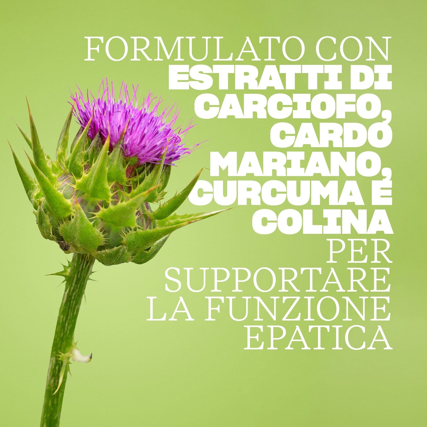 Swisse Ultiboost Detox