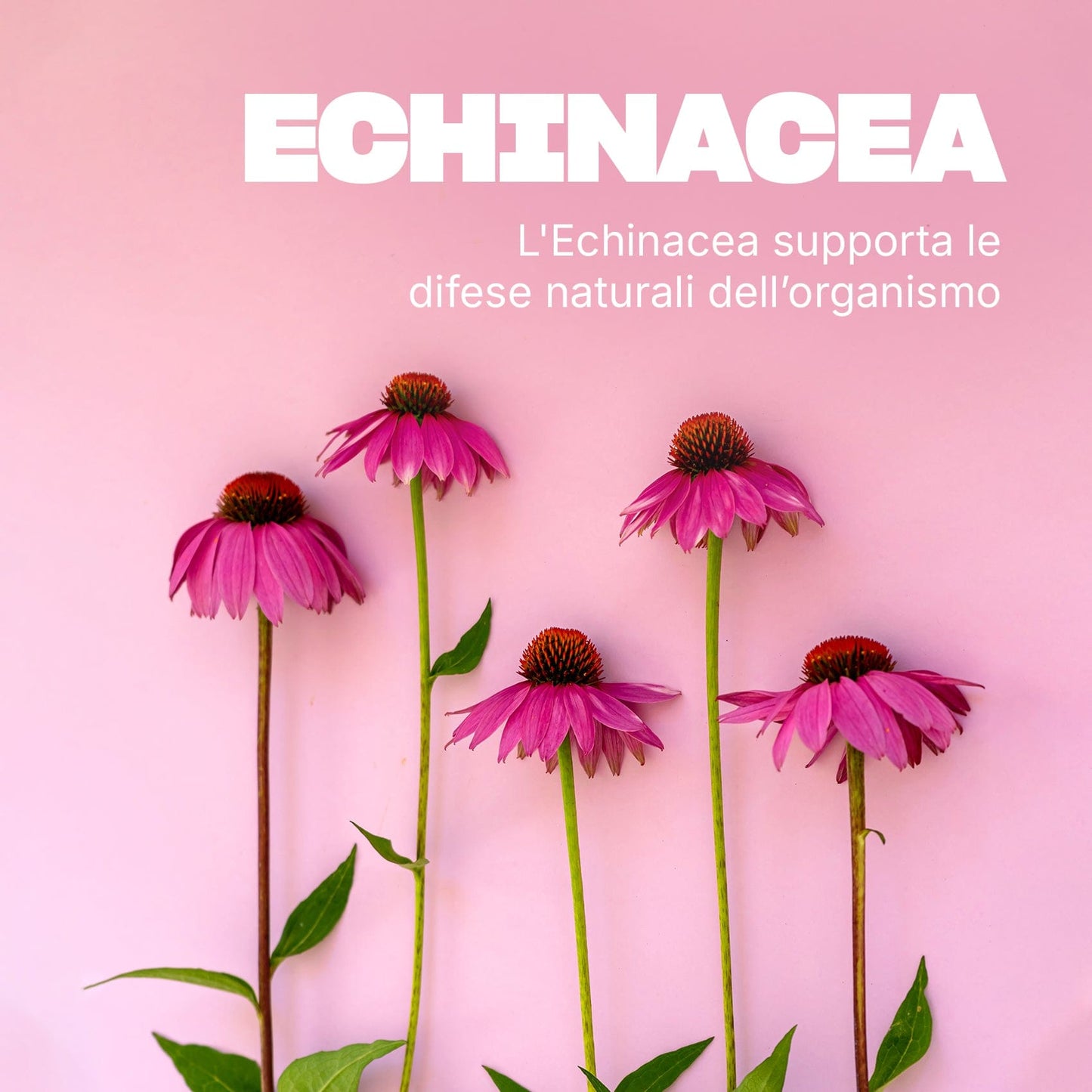 Swisse Ultiboost Difesa Immunitaria