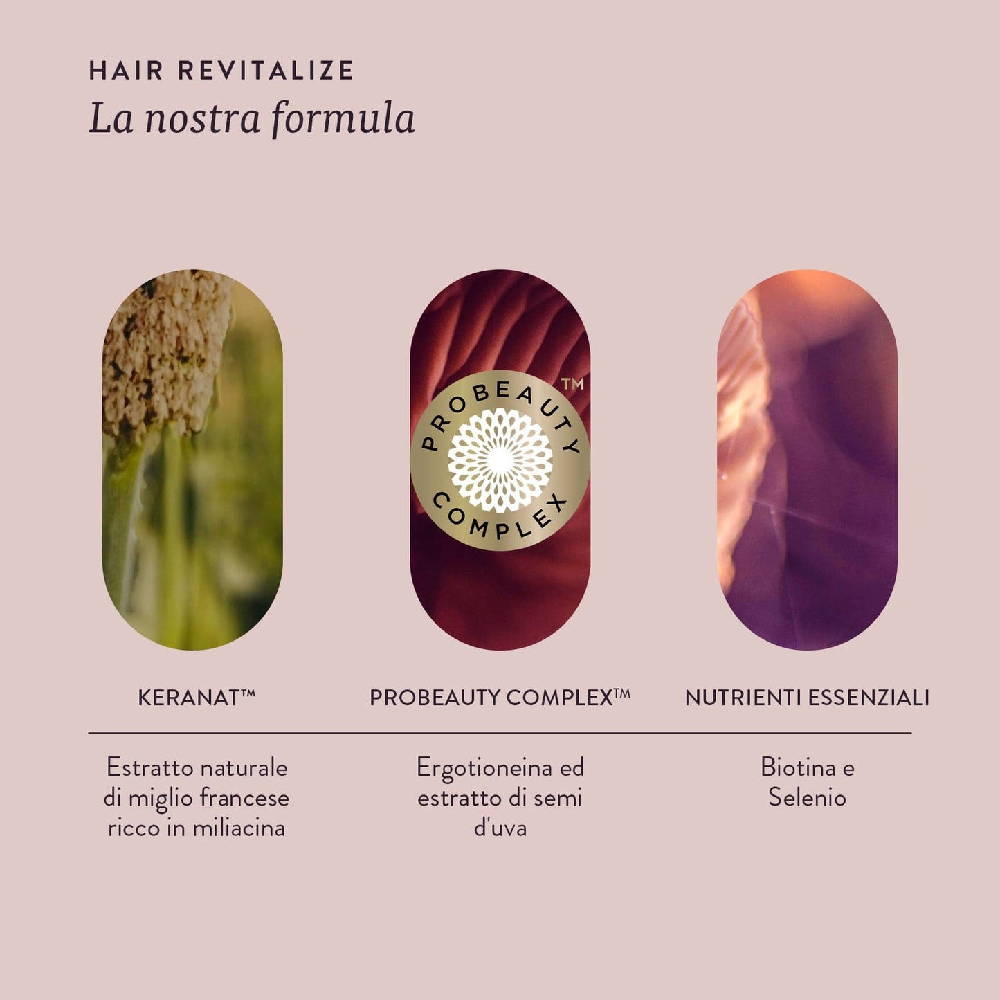Swisse Beauty HAIR REVITALIZE