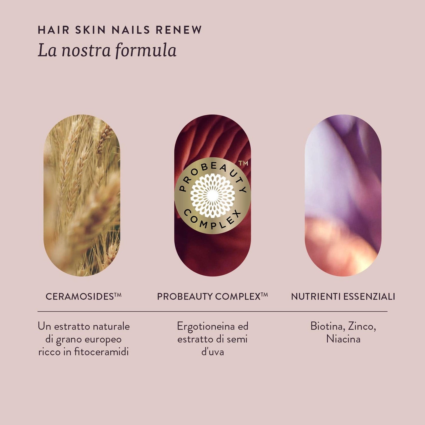 Swisse Beauty HAIR SKIN NAILS RENEW