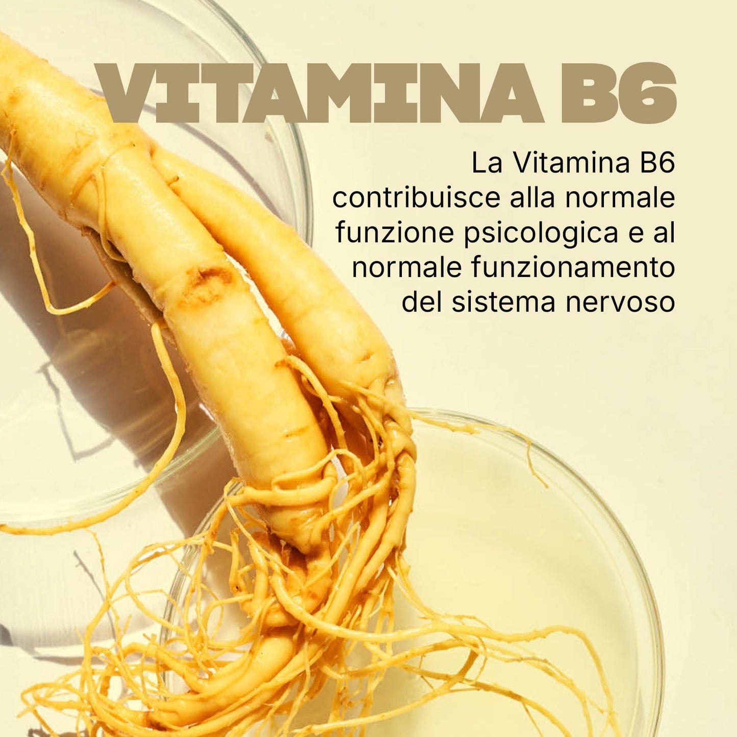 Swisse Ultiboost Memoria