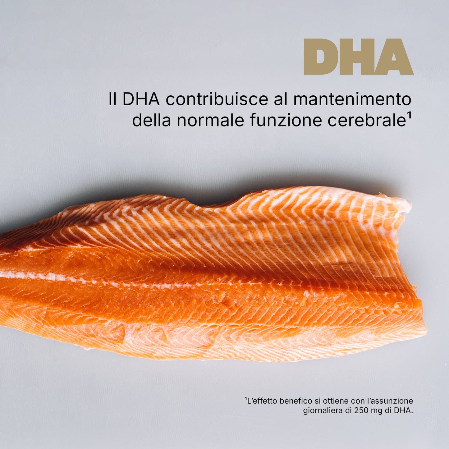 Swisse Ultiboost Memoria