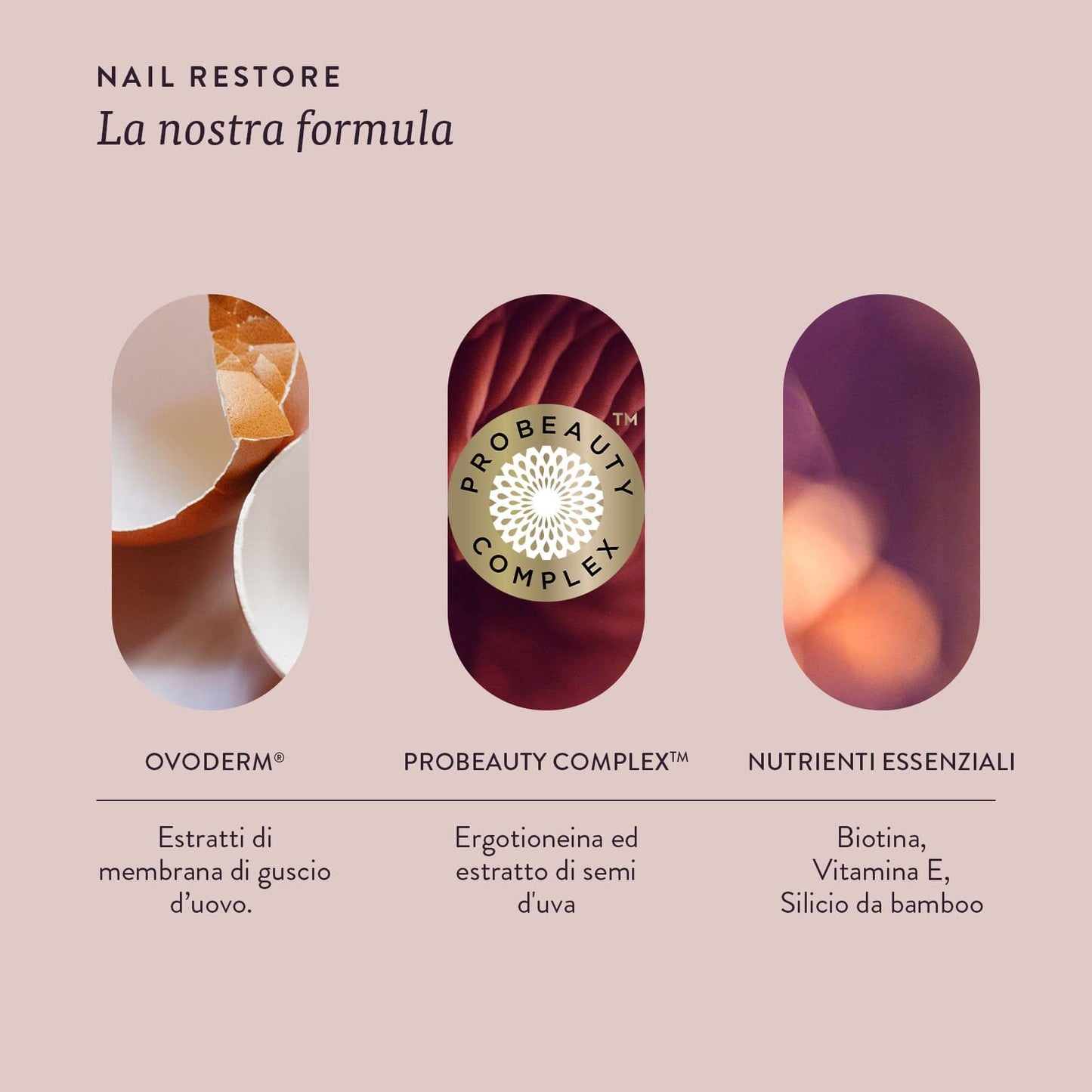 Swisse Beauty NAIL RESTORE