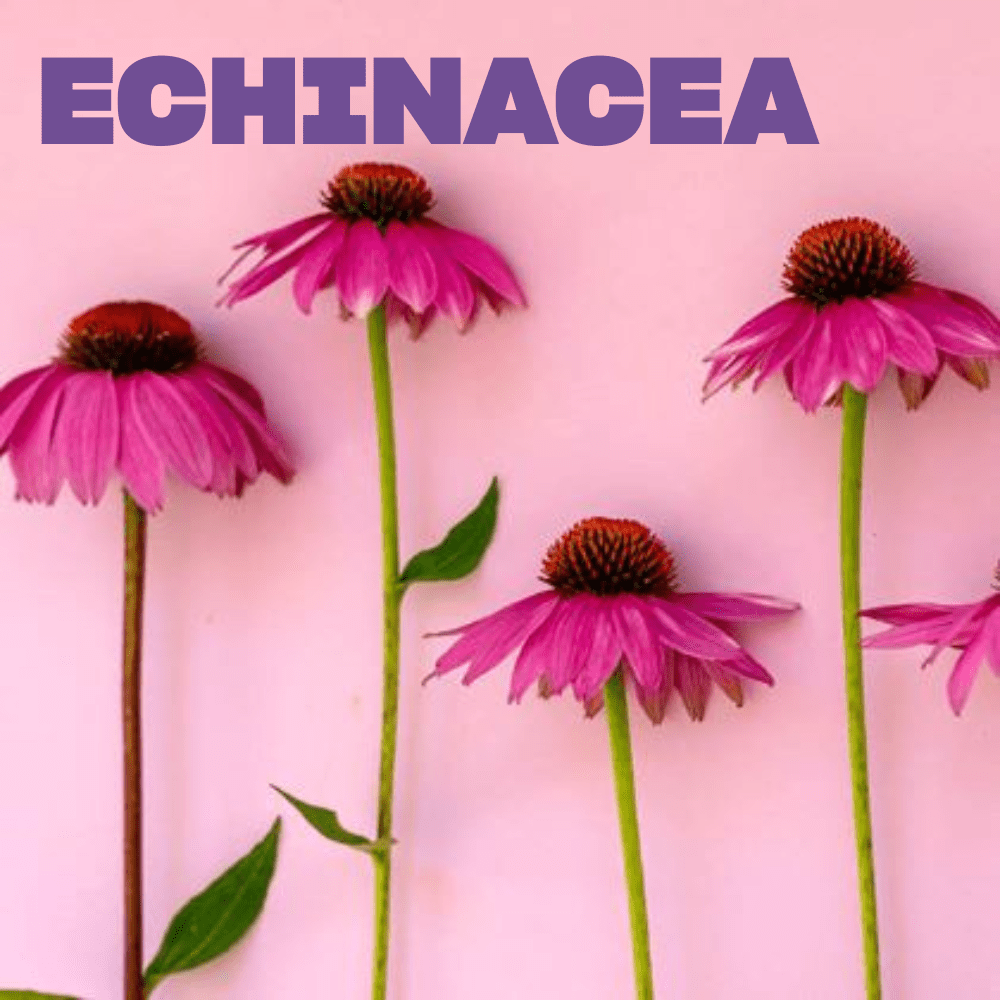 Swisse Beauty Pro Collagen Siero Viso & Occhi